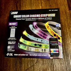 Feit Electric Indoor/Outdoor 20ft Strip Light 