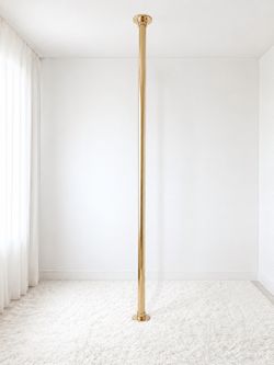 Fitness pole
