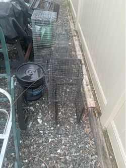 Traps and equipment !