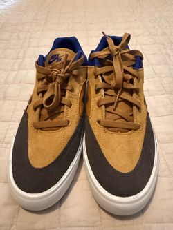 Nike SB Low-Top Skate Shoes
