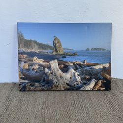 Nice Blue Sky Canvas Photo Print Of Oregon Coast, Beach Scene Wall Art