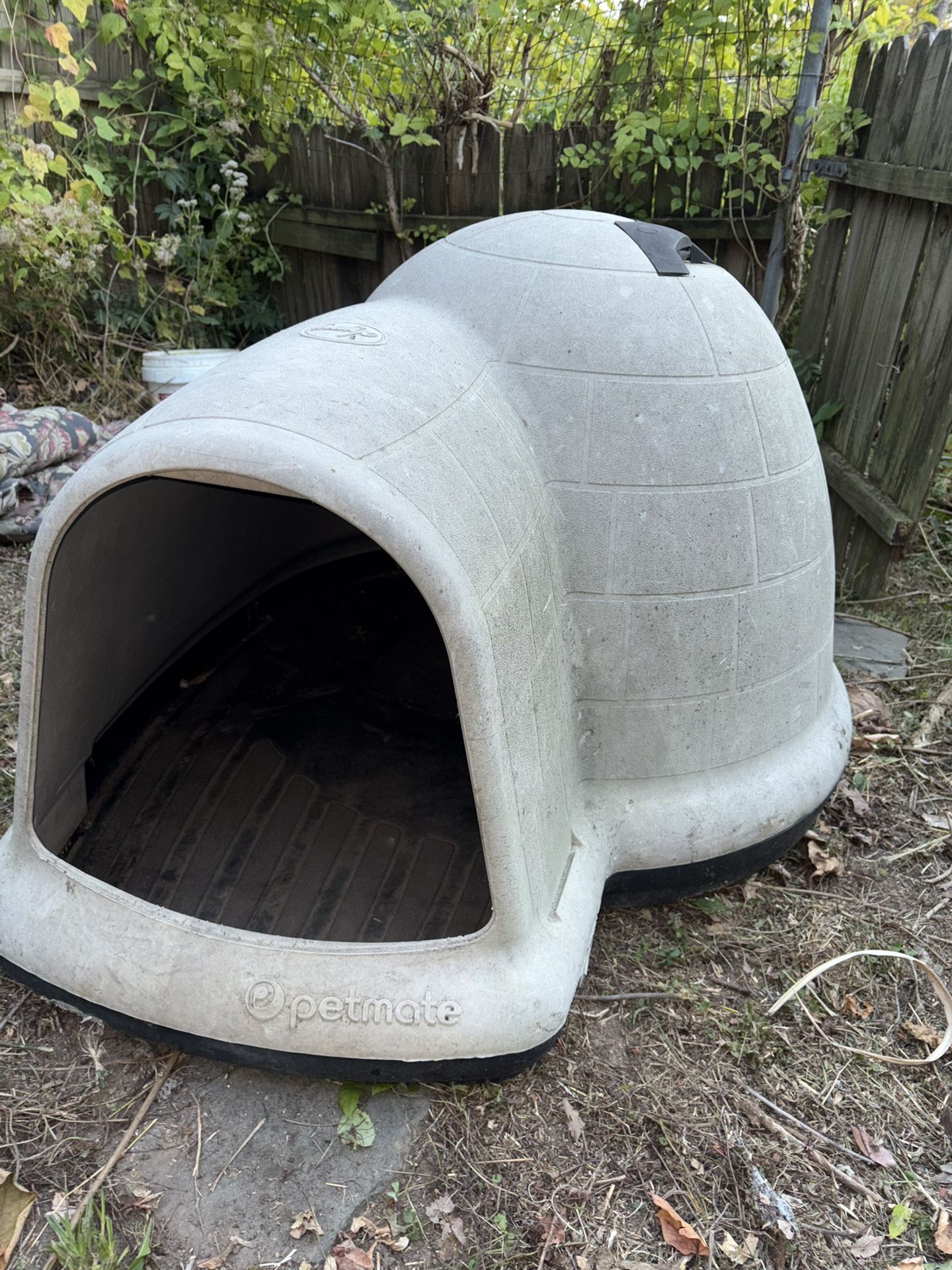 Large Dog House Igloo