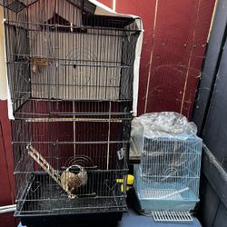 Bird Cages