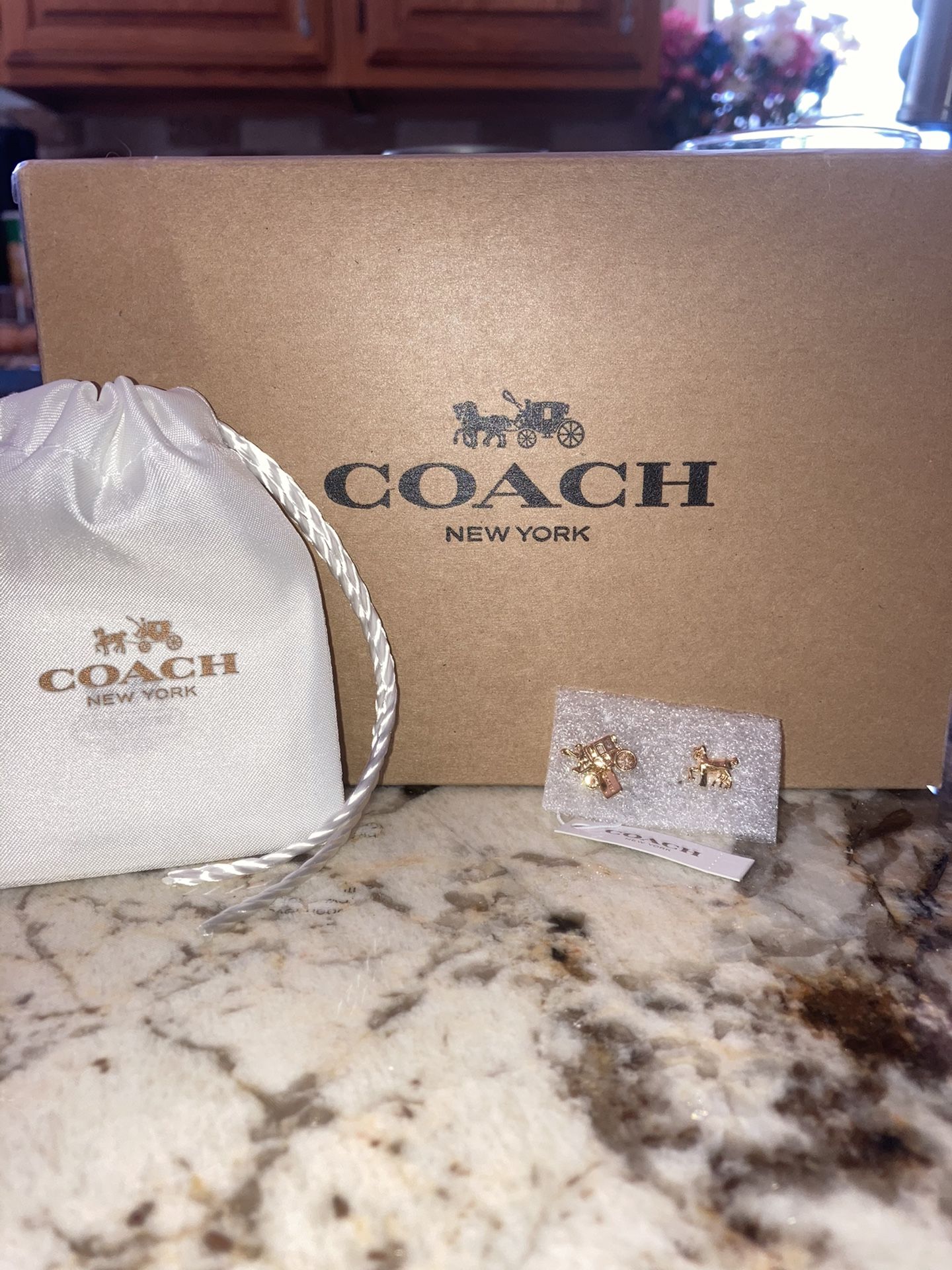 NEVER USED COACH NEW YORK EARRINGS