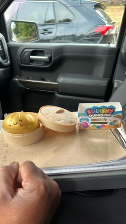 Squishy Dumpling Toy with Steamer Container