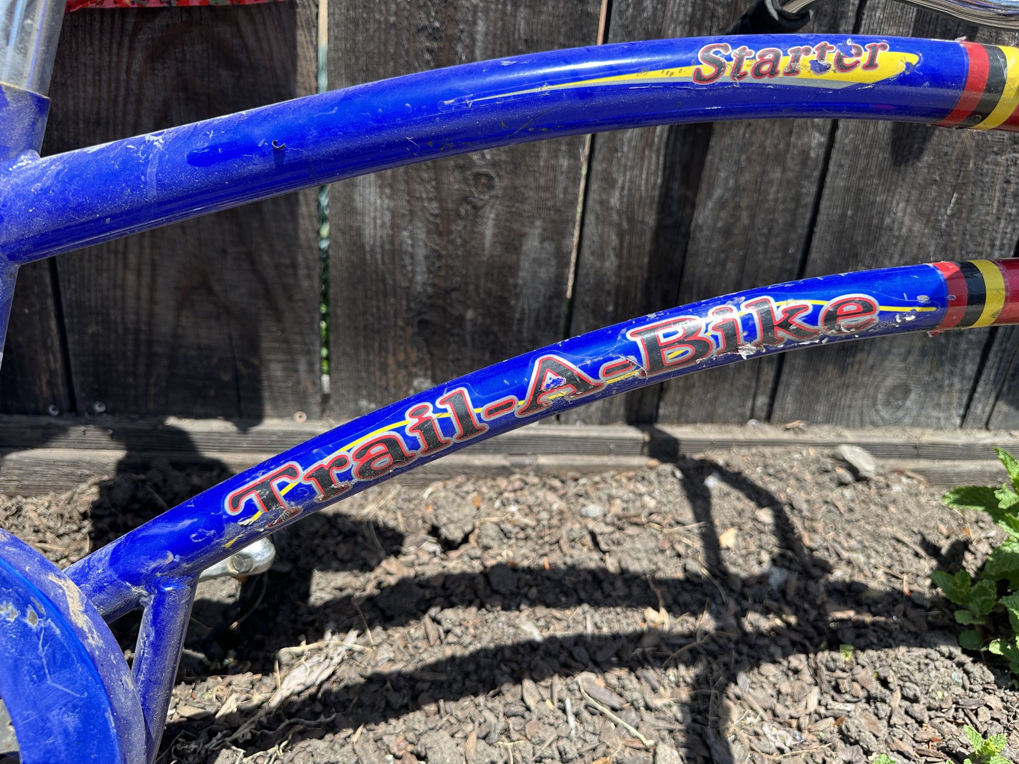 Adams Trail-a-bike