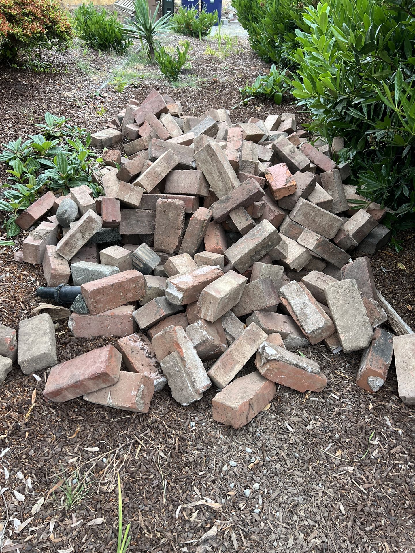 Red Bricks