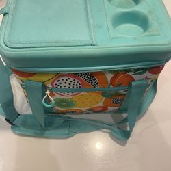 Target Brand Blue Fruit Insulated Cooler