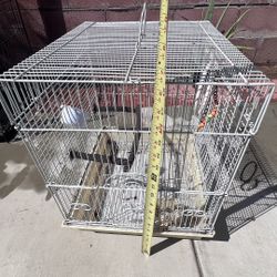 Birds Cage