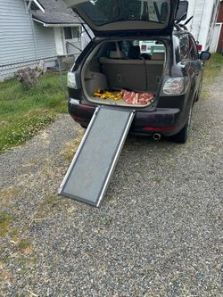 Dog ramp for car