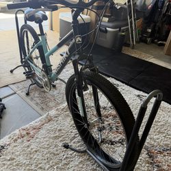 Entry level small Nishiki Bike