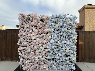Gender Reveal Flower Wall 