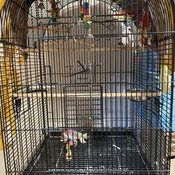Bird Cage