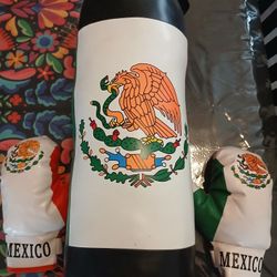 Mexico Boxing Pads N Gloves 