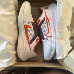 Nike Zoom Pegasus 40 Clemson 