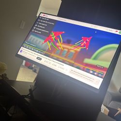 HP Monitor 