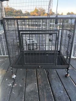 Metal Dog Cages
