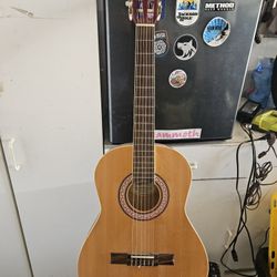 Acoustic Guitar 