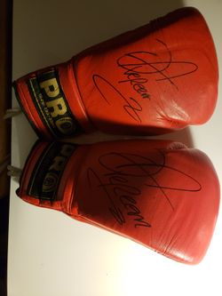 Autographed boxing gloves