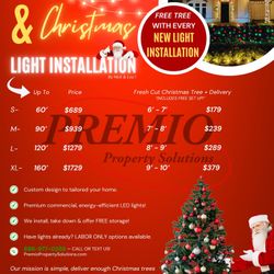 Christmas lights & Tree delivery 