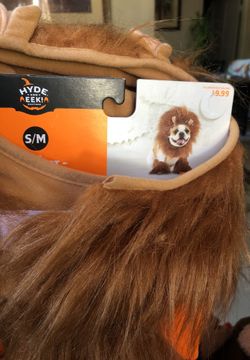 Pet Costume