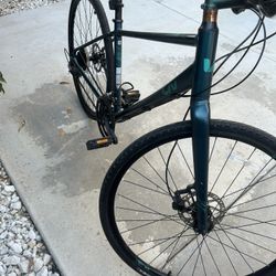 Bicicleta Giant  Alight Liv