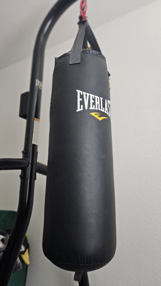 Everlast Dual-Station Heavy Bag and Speed Bag Stand
