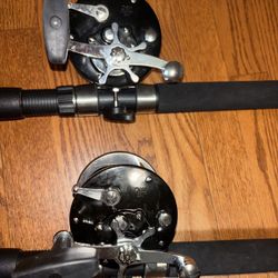 Penn International Fishing Rods