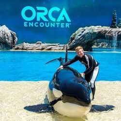 Seaworld Sea World Seasme Place  Boletos  Tickets 