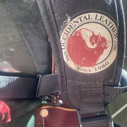 Carpenter occidental bags