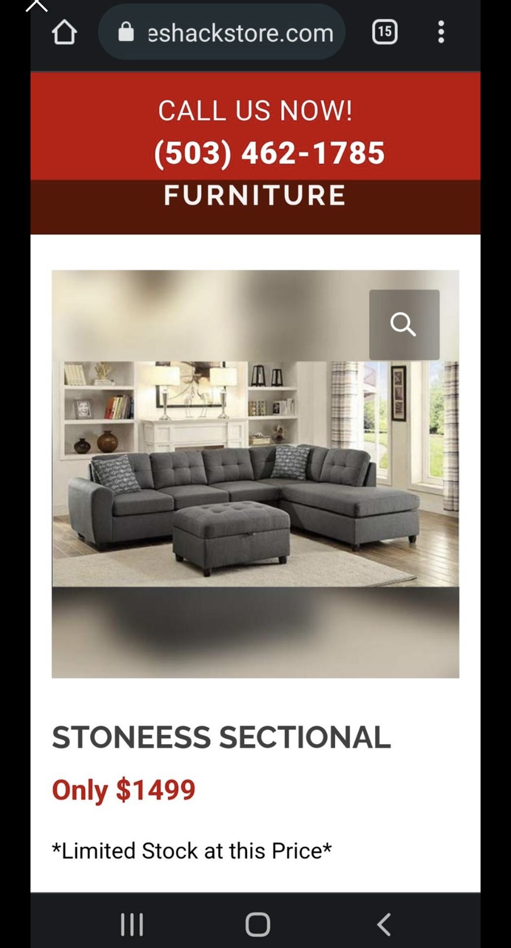 Sectional Grey Couch