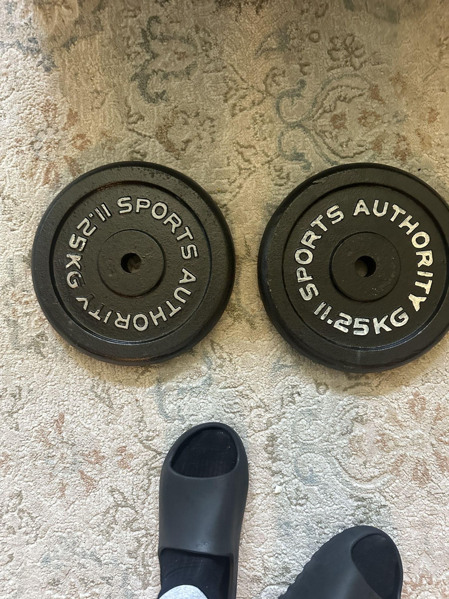 Two 25 Lbs Sports Authority Weights