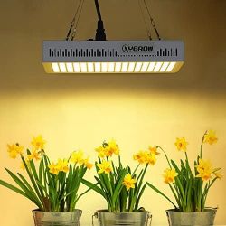 LED Light 1000W YGROW Plant Light Full Spectrum 3500K