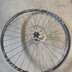 Specialized 29er Rear Wheel $30