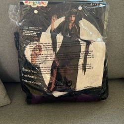 Halloween Costume- Sorceress