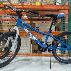 Youth BMX Bike