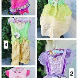 Disney Princess Dress 
