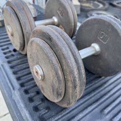 50LB Dumbbells