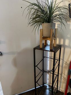 Tall Black Metal Plant Stand for gallons with plant