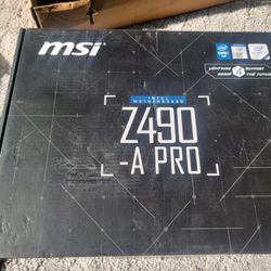 MSI z490 with g6400
