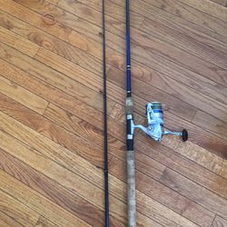 Fishing Rods With Real Daiwa