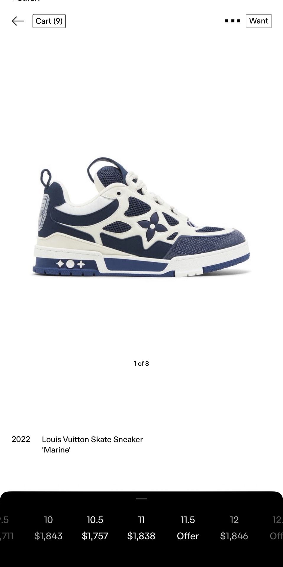 Louis Vuitton skates shoes