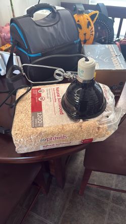 Heat lamp and bedding for Rodent