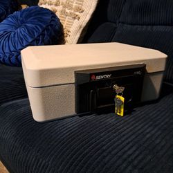 Brand New Safe 