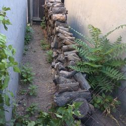 Fire Wood Aged 6 Yrs All For $125