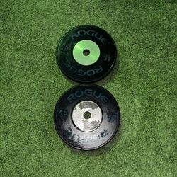 45 LB Rogue Bumper Plates