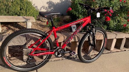 Specialized Rockhopper Mountain Bike
