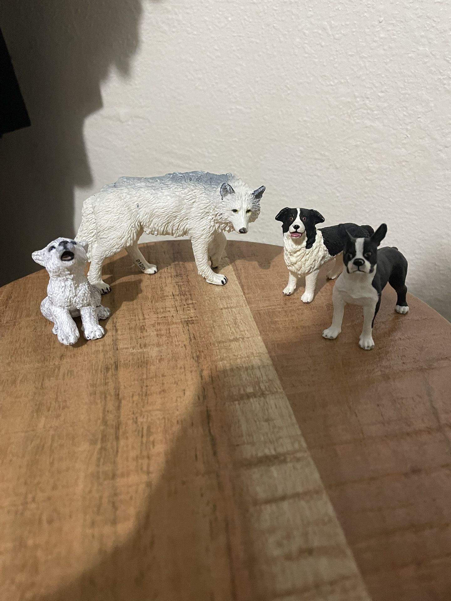 Dogs