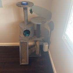 Cat Tree