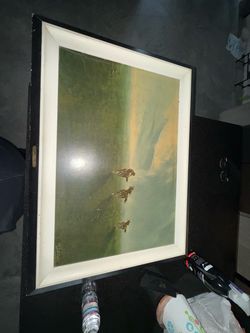 Framed Oil Painting of Ducks on Water
